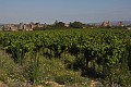 DSC_0597_l