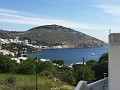 IMG_0944_l