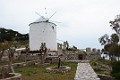 DSC_7847_lk
