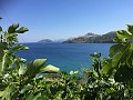 IMG_1403