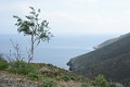 DSC_8092_l