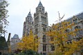 DSC_1207_l