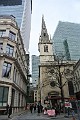 DSC_1241_l