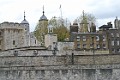 DSC_1251_k