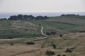 DSC_0219