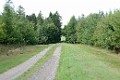 DSC_1953