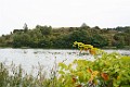 DSC_1978_l