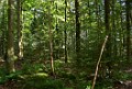 DSC_6063_cmkf