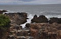 DSC_0220_r