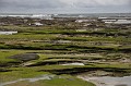 DSC_0023