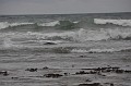DSC_0027