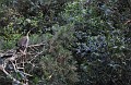 DSC_0128_c