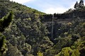 DSC_0171_d