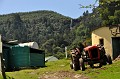 DSC_0203_d