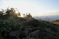 DSC_0251_d