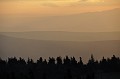 DSC_0255_d