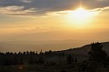 DSC_0256_d