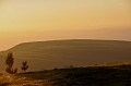 DSC_0265_d