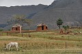 DSC_0506