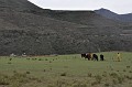 DSC_0509
