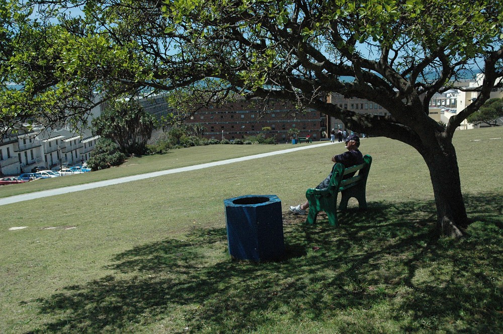 DSC_0039.JPG - Port Elizabeth, Eastern Cape.