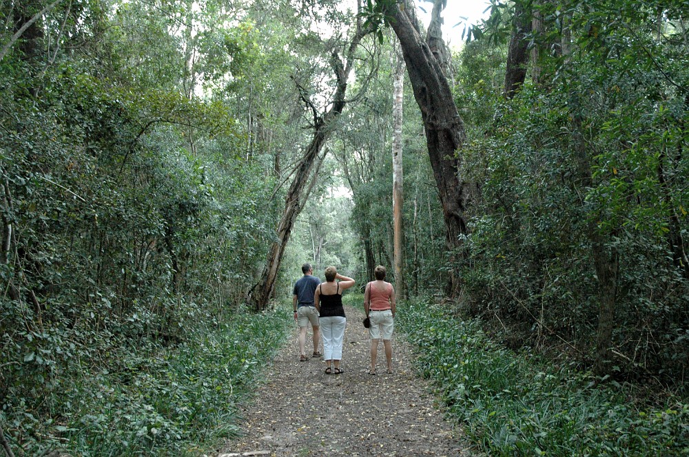 DSC_0115.JPG - The Goesa Nature Walk - Tsitsikamma.
