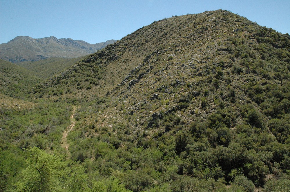 DSC_0195.JPG - Klein Karoo ved Oudtshoorn.
