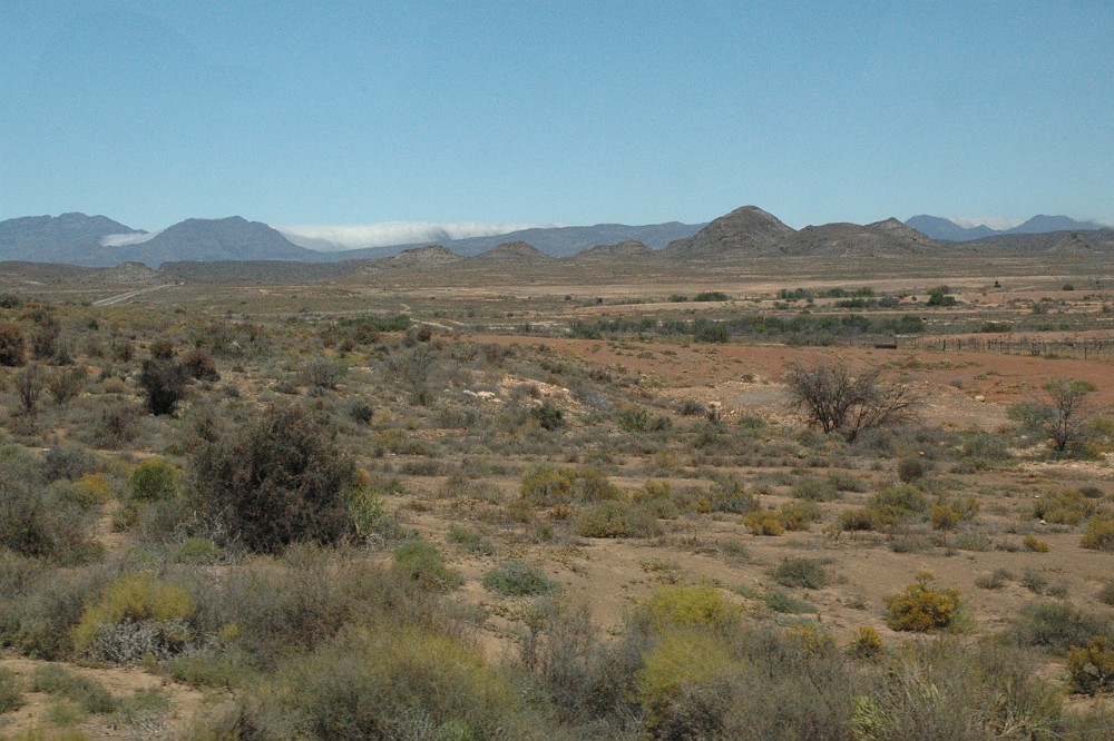 DSC_0198_udsnit.jpg - Klein Karoo ved Oudtshoorn.