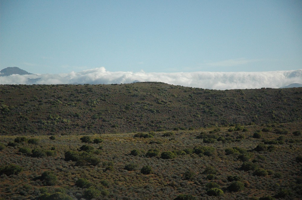 DSC_0220.JPG - Klein Karoo.
