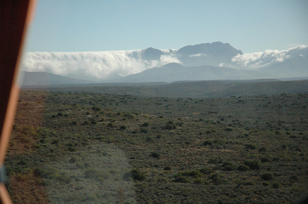 DSC_0221.JPG - Klein Karoo - bag bjergene regner det.