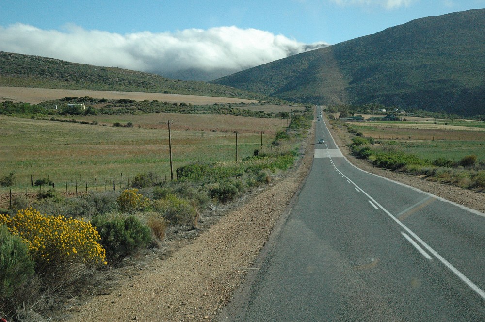 DSC_0227.JPG - Klein Karoo - bag bjergene regner det.