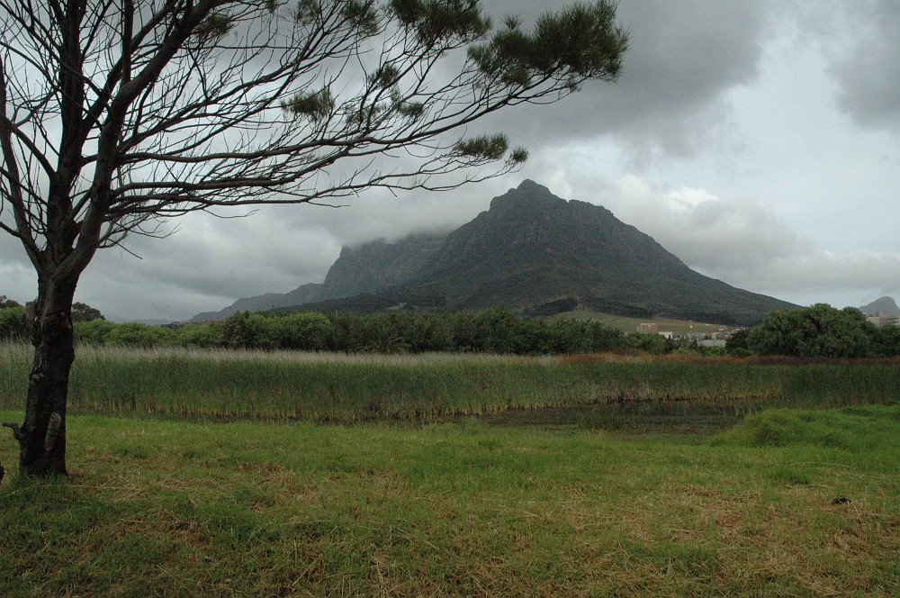 DSC_0301.JPG - Devil's Peak, Cape Town.