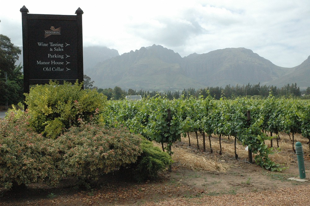 DSC_0500.JPG - Winelands & Nederburg.