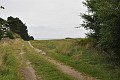 DSC_0104