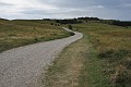 DSC_0106_l