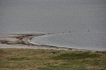DSC_0111