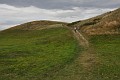 DSC_0113