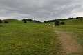 DSC_0114