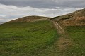 DSC_0115