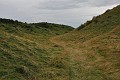DSC_0126
