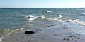 Billede 10-09-2016 10.22.12