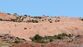 DSC_3385_fcC
