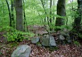 DSCN0215_e