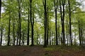 DSC_0048_l