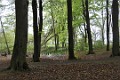 DSC_0050_l