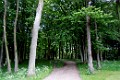 DSCN0852_edit