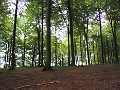 DSCN0854_edit