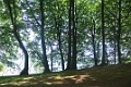 DSC_1678_llk
