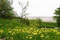 DSC_1204_lll