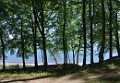 DSC_1446_c